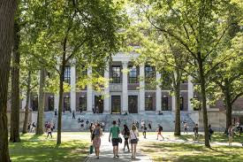 大学職員