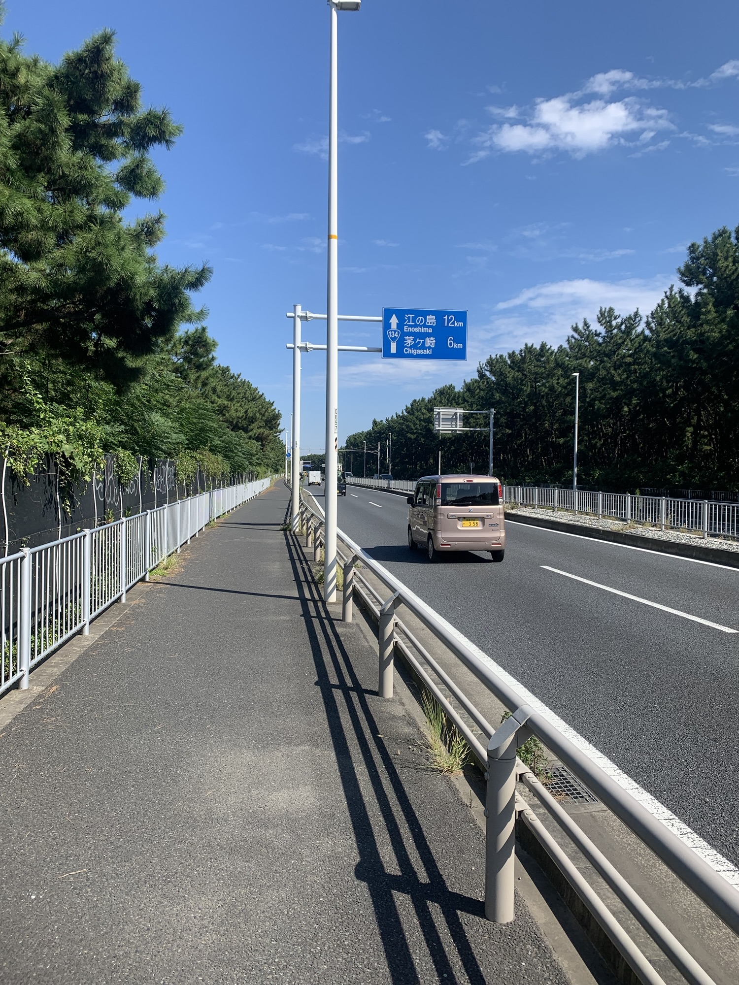 海沿いの国道。歩道とガードレール、車道を挟んで照明柱が並び、奥に江の島・茅ヶ崎方面の案内標識が見える。