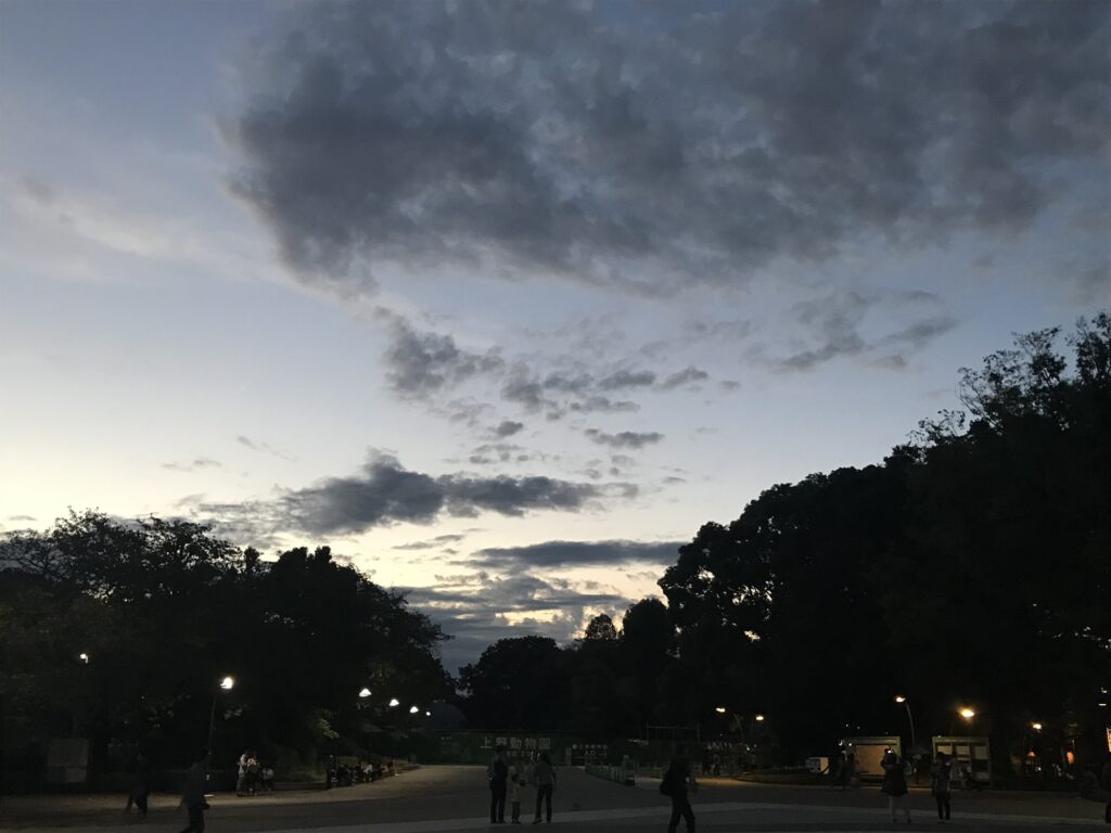 夕暮れの公園