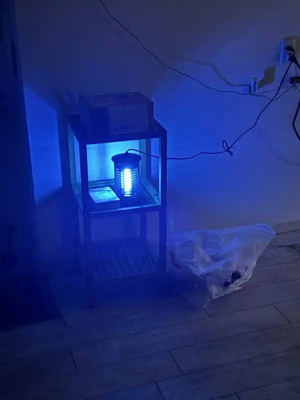 電撃殺虫器